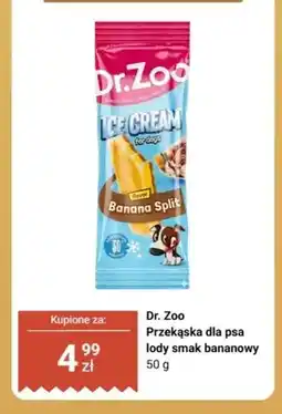 Dino Przekąska dla psa lody smak bananowy Dr. Zoo oferta