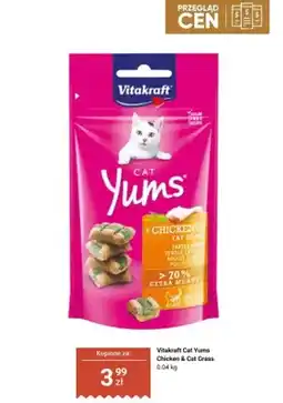 Dino Przysmak dla kotów Vitakraft Cat Yums Chicken & Cat Grass oferta