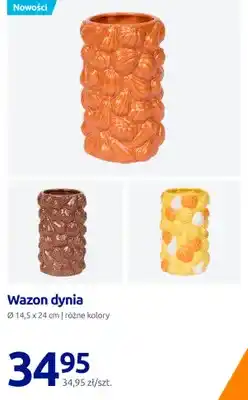 Action Wazon dynia oferta