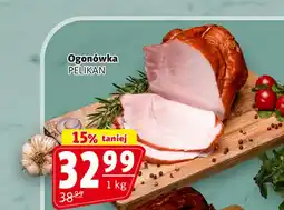 Prim Market Ogonówka Pelikan oferta