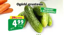 Prim Market Ogórki oferta