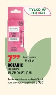 Drogerie Natura Olejkowy balsam do ust Botanic oferta