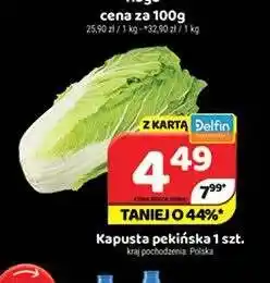 Delfin Kapusta pekińska oferta