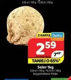 Delfin Seler oferta