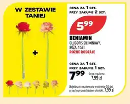 Drogerie Natura Długopis silikonowy Beniamin Róża oferta