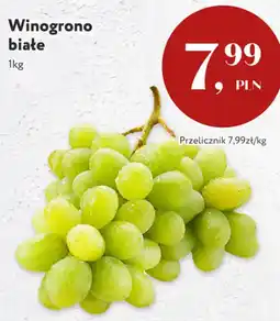 Market Point Winogrono białe oferta