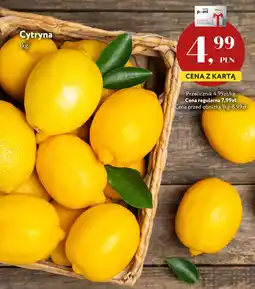 Market Point Cytryna oferta