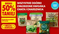 Biedronka Wszystkie ogórki chłodzone Swojska Chata i Charsznica oferta
