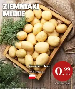 Market Point Ziemniaki młode polskie oferta
