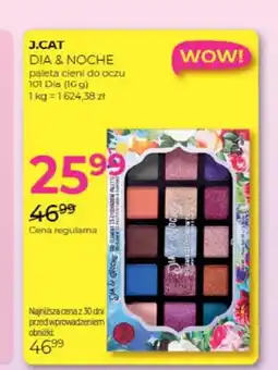 Jawa Drogerie Paleta cieni do oczu J.Cat Dia & Noche 101 Dia oferta