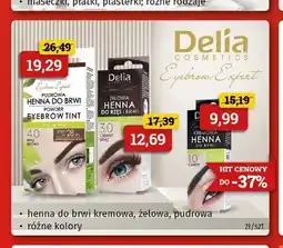Drogeria Kosmyk Henna do brwi pudrowa Delia Cosmetics Eyebrow Expert oferta