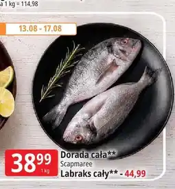 E.Leclerc Labraks cały Scapmaree oferta