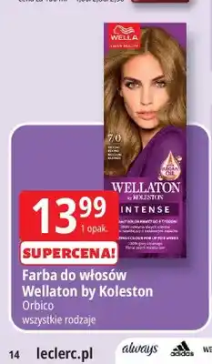 E.Leclerc Farba do włosów Wellaton by Koleston Intense oferta