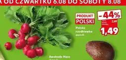 Kaufland Rzodkiewka polska pęczek oferta