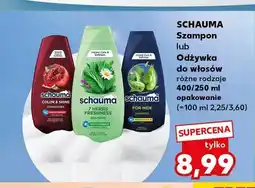 Kaufland Odżywka do włosów Schauma Color & Shine oferta