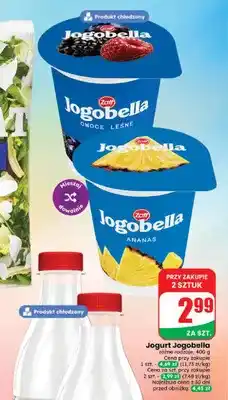 Dino Jogurt owocowy Jogobella owoce leśne Zott oferta