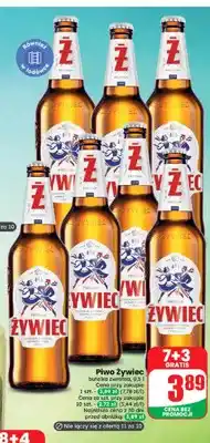 Dino Piwo Żywiec Premium oferta