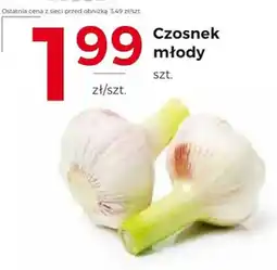 Frac Czosnek młody oferta
