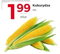 Frac Kukurydza oferta
