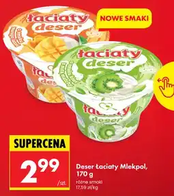 Biedronka Deser Łaciate Mlekpol o smaku kiwi z nutą matchy oferta