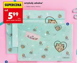 Biedronka Artykuły szkolne oferta