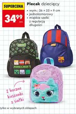 Biedronka Plecak dziecięcy oferta