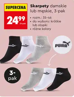 Biedronka Skarpety damskie lub męskie oferta