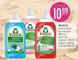 Jaśmin Frosch koncentrat do naczyń oferta