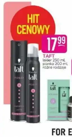 Jaśmin Taft lakier i pianka oferta