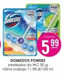 Jaśmin DOMESTOS POWERS zawieszka do WC oferta