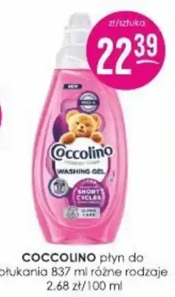 Jaśmin Coccolino płyn do płukania oferta