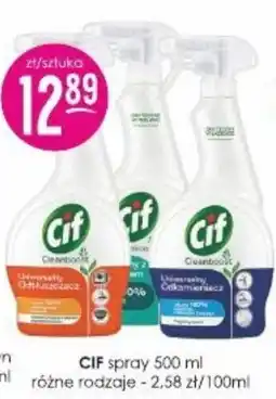 Jaśmin CIF spray oferta