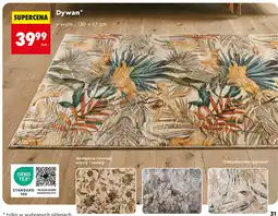 Biedronka Dywan oferta