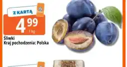 E.Leclerc Śliwki oferta