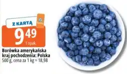 E.Leclerc Borówka amerykańska oferta