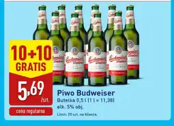 ALDI Piwo Budweiser oferta