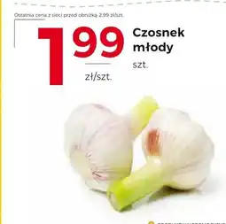 Frac Czosnek oferta