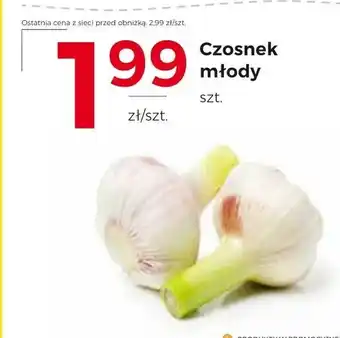 Frac Czosnek oferta