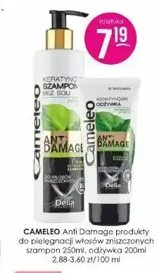 Jaśmin Szampon do włosów Cameleo Anti Damage oferta