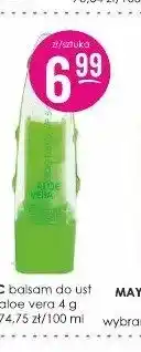 Jaśmin Balsam do ust IDC Aloe Vera oferta