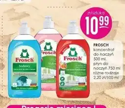 Jaśmin Koncentrat do naczyń Frosch Sodowy oferta