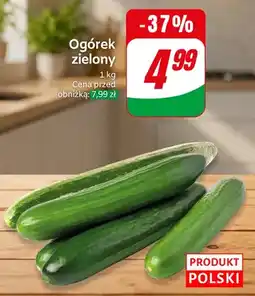 Dino Ogórek zielony polski oferta