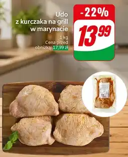 Dino Udo z kurczaka na grill w marynacie oferta