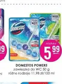 Jaśmin Zawieszka do WC Domestos Powers oferta
