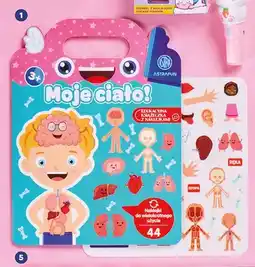 Biedronka Edukacyjna książeczka z naklejkami wielokrotnego użytku Moje ciało! Astrafun oferta