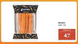 Biedronka Marchew Warzywniak oferta