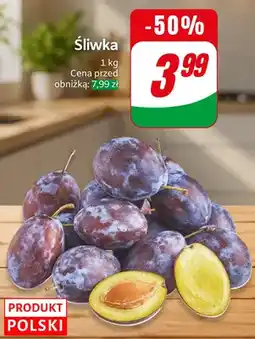 Dino Śliwka polska oferta