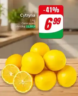 Dino Cytryna oferta
