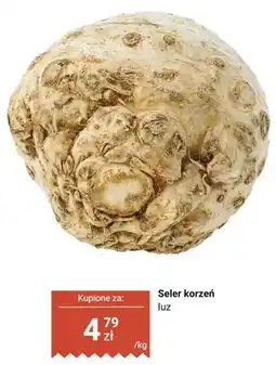 Biedronka Seler korzeń luz oferta