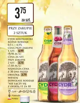 Dino Cydr Miłosławski Klasyczny oferta